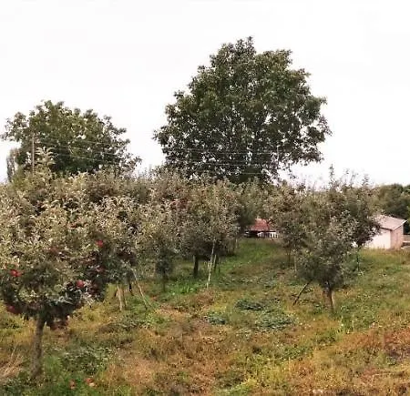 Lila Dolno Dupeni