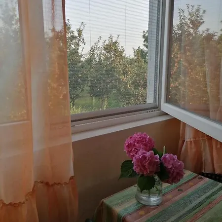 Lila Homestay